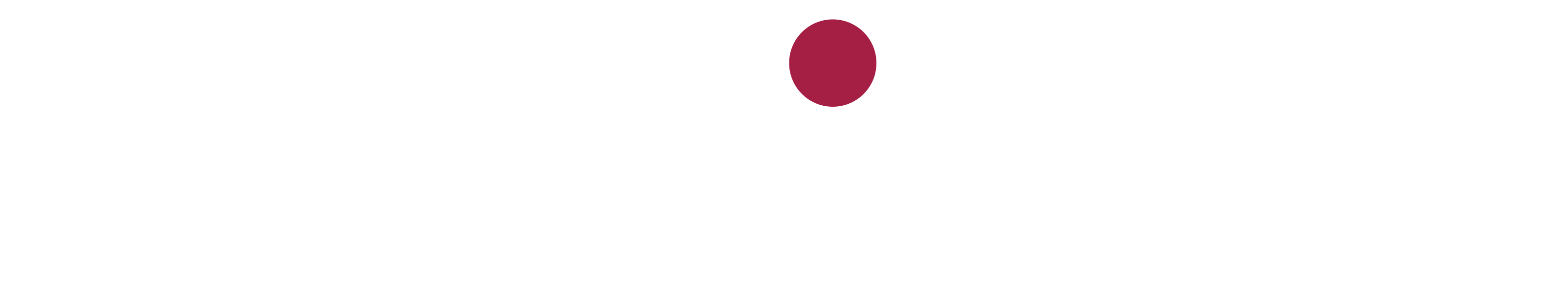 ZOOM TV