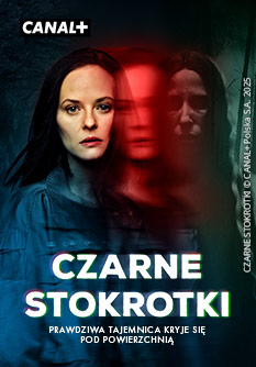 Czarne stokrotki - prawdziwa tajemnica kryje się pod powierzchnią