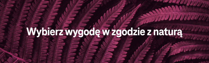 Obraz z napisem Wybierz wygodę w zgodzie z naturą