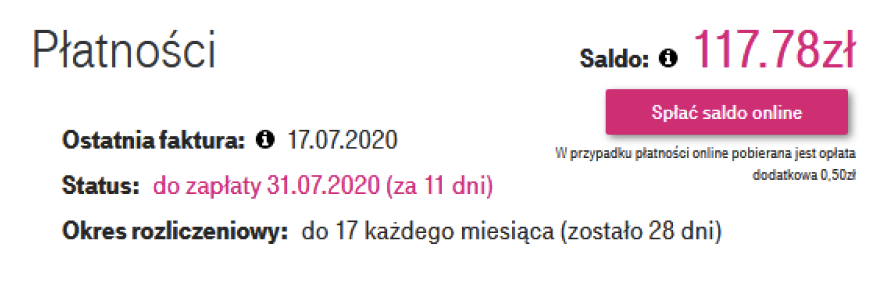 Obraz przedstawia przycisk spłać saldo online