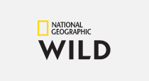 kanał national geographic wild